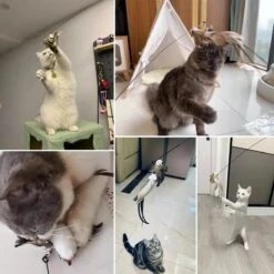 Kattenspeelgoed - Simulatie Vogel - Interactieve Grappige Kattenspeeltjes - Kattenhengel Met Zuignap + 4 Vogels + Een Kattenhengel GRATIS -Winkel Voor Kattenbenodigdheden 1200x1200 1069