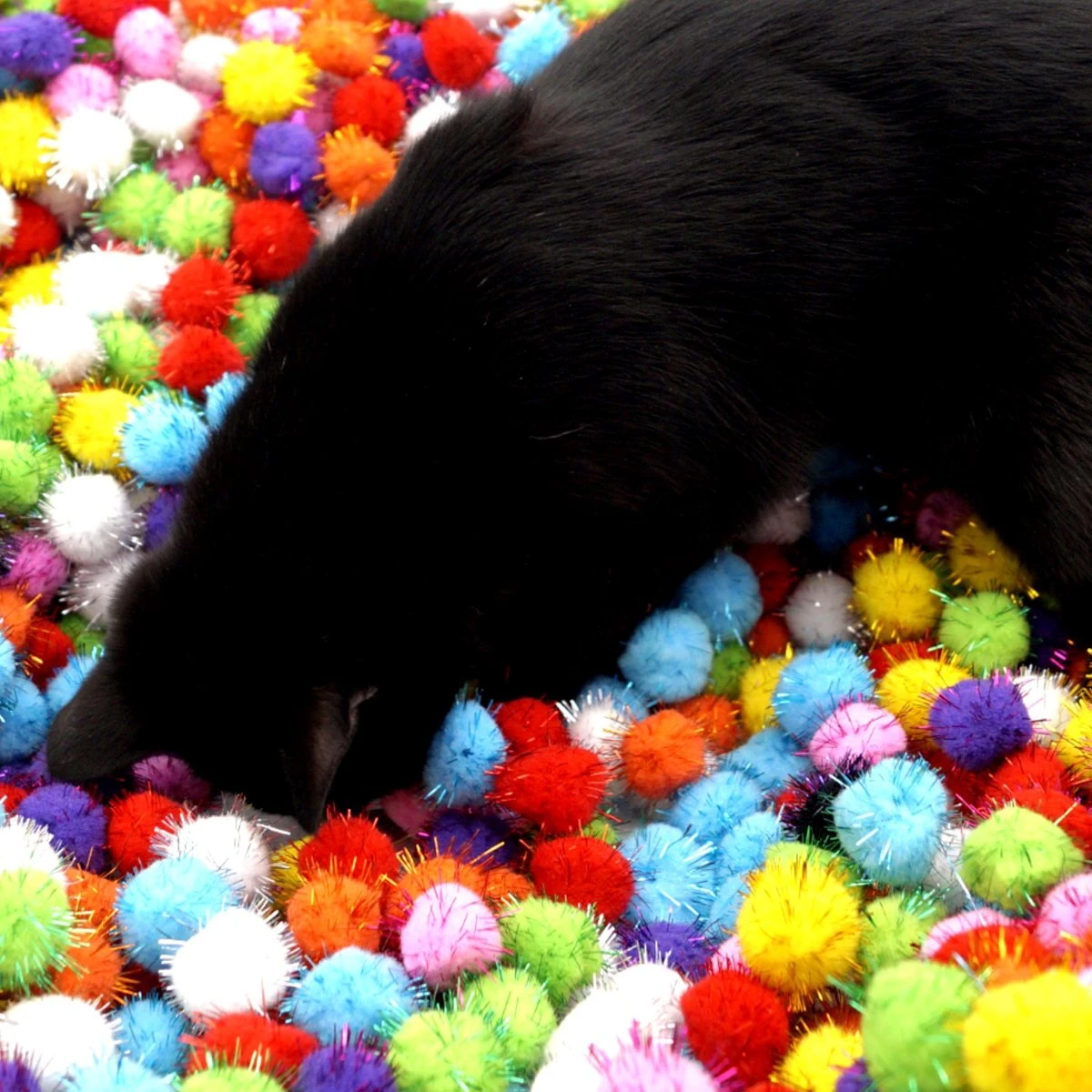 Make Me Purr Glitter Pompon Ballen (10 Stuks) - Kattenspeeltjes - Kattenspeelgoed - Speelgoed Voor Katten - Kat Speeltje Bal - Kitten Speeltjes Balletjes 6 Make Me Purr Glitter Pompon Ballen (10 Stuks) - Kattenspeeltjes - Kattenspeelgoed - Speelgoed Voor Katten - Kat Speeltje Bal - Kitten Speeltjes Balletjes - Afbeelding 4