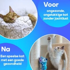 TocaToca Kip- Interactieve Zelf Bewegende Speeltje- Kattenspeeltjes- Kattenspeelgoed- Intelligentie- Kip Voor Katten- Laser- USB- Speelgoed- Geluid- Blauw 9 TocaToca Kip- Interactieve Zelf Bewegende Speeltje- Kattenspeeltjes- Kattenspeelgoed- Intelligentie- Kip Voor Katten- Laser- USB- Speelgoed- Geluid- Blauw -Winkel Voor Kattenbenodigdheden 1200x1200 1084