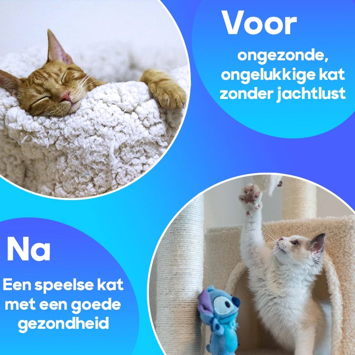 TocaToca Kip- Interactieve Zelf Bewegende Speeltje- Kattenspeeltjes- Kattenspeelgoed- Intelligentie- Kip Voor Katten- Laser- USB- Speelgoed- Geluid- Blauw 5 TocaToca Kip- Interactieve Zelf Bewegende Speeltje- Kattenspeeltjes- Kattenspeelgoed- Intelligentie- Kip Voor Katten- Laser- USB- Speelgoed- Geluid- Blauw - Afbeelding 3