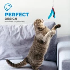Merkloos 2 Kattenhengels Met 10 Speeltjes – Bewegende Kattenspeeltjes Met Veren En Belletjes – Interactieve Kattenspeelgoed Voor Kittens – Cat Toys 13 Merkloos 2 Kattenhengels Met 10 Speeltjes – Bewegende Kattenspeeltjes Met Veren En Belletjes – Interactieve Kattenspeelgoed Voor Kittens – Cat Toys -Winkel Voor Kattenbenodigdheden 1200x1200 1089