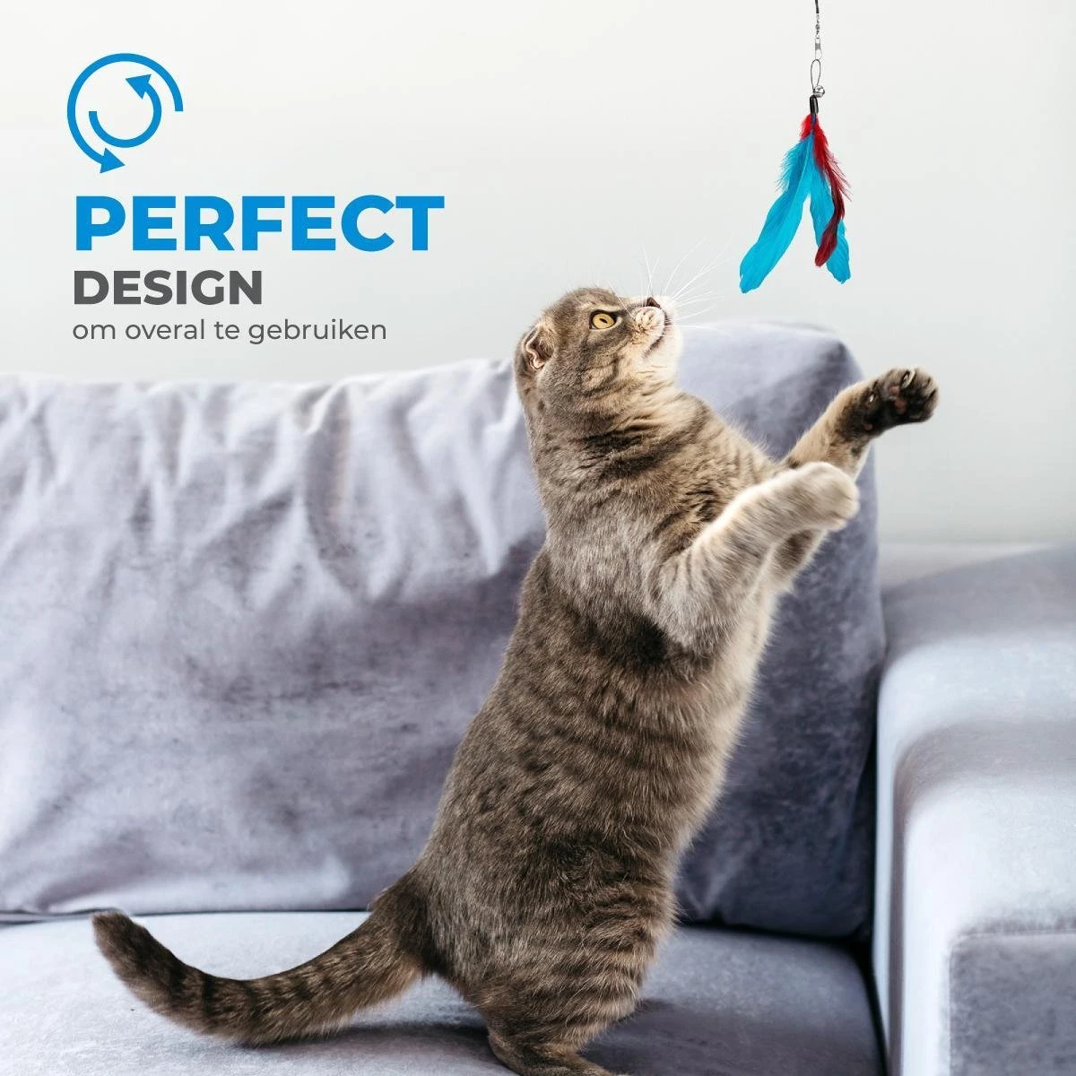 Merkloos 2 Kattenhengels Met 10 Speeltjes – Bewegende Kattenspeeltjes Met Veren En Belletjes – Interactieve Kattenspeelgoed Voor Kittens – Cat Toys 7 Merkloos 2 Kattenhengels Met 10 Speeltjes – Bewegende Kattenspeeltjes Met Veren En Belletjes – Interactieve Kattenspeelgoed Voor Kittens – Cat Toys - Afbeelding 5
