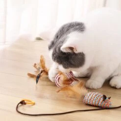 Kattenspeelgoed - Set Met 7 Kattenspeeltjes - Complete Set - Kattenhengel - Speelmuis -Winkel Voor Kattenbenodigdheden 1200x1200 1091