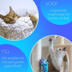 TocaToca Kip- Interactieve Zelf Bewegende Speeltje- Kattenspeeltjes- Intelligentie- Kattenspeelgoed- Kip Voor Katten- Laser- USB- Speelgoed- Geluid- Oranje 9 TocaToca Kip- Interactieve Zelf Bewegende Speeltje- Kattenspeeltjes- Intelligentie- Kattenspeelgoed- Kip Voor Katten- Laser- USB- Speelgoed- Geluid- Oranje -Winkel Voor Kattenbenodigdheden 1200x1200 1093