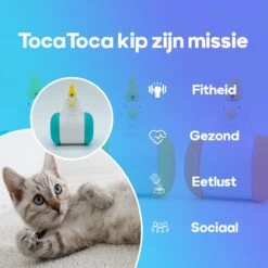 TocaToca Kip- Interactieve Zelf Bewegende Speeltje- Kattenspeeltjes- Intelligentie- Kattenspeelgoed- Kip Voor Katten- Laser- USB- Speelgoed- Geluid- Oranje 10 TocaToca Kip- Interactieve Zelf Bewegende Speeltje- Kattenspeeltjes- Intelligentie- Kattenspeelgoed- Kip Voor Katten- Laser- USB- Speelgoed- Geluid- Oranje -Winkel Voor Kattenbenodigdheden 1200x1200 1094