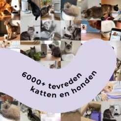 Pettadore - Laser Kattenspeeltjes - Smart Met Autoplay En Handmatig Via App -Winkel Voor Kattenbenodigdheden 1200x1200 1101