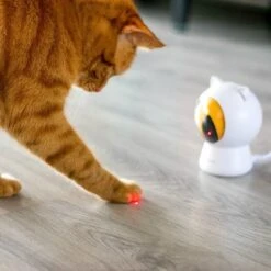Pettadore - Laser Kattenspeeltjes - Smart Met Autoplay En Handmatig Via App -Winkel Voor Kattenbenodigdheden 1200x1200 1104