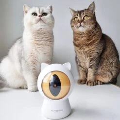 Pettadore - Laser Kattenspeeltjes - Smart Met Autoplay En Handmatig Via App -Winkel Voor Kattenbenodigdheden 1200x1200 1106