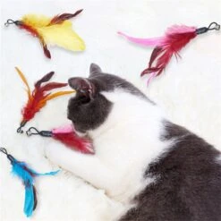 Merkloos Kattenhengel Met 10 Opzetstukjes - Kat Speelhengel Met Veren - Speelgoed Hengel Voor Katten – Kittenspeeltjes Met Veer – Kattenspeelgoed – Katten Speeltjes 13 Merkloos Kattenhengel Met 10 Opzetstukjes - Kat Speelhengel Met Veren - Speelgoed Hengel Voor Katten – Kittenspeeltjes Met Veer – Kattenspeelgoed – Katten Speeltjes -Winkel Voor Kattenbenodigdheden 1200x1200 1109