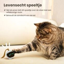 Otiume Interactieve Speelbal - Slimme Interactieve Jaag Speeltje Voor Katten - Kattenspeeltjes - Intelligente Jaagbal - AI -USB Oplaadbaar - LED - Blauw 14 Otiume Interactieve Speelbal - Slimme Interactieve Jaag Speeltje Voor Katten - Kattenspeeltjes - Intelligente Jaagbal - AI -USB Oplaadbaar - LED - Blauw -Winkel Voor Kattenbenodigdheden 1200x1200 1111