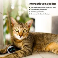 Otiume Interactieve Speelbal - Slimme Interactieve Jaag Speeltje Voor Katten - Kattenspeeltjes - Intelligente Jaagbal - AI -USB Oplaadbaar - LED - Blauw 15 Otiume Interactieve Speelbal - Slimme Interactieve Jaag Speeltje Voor Katten - Kattenspeeltjes - Intelligente Jaagbal - AI -USB Oplaadbaar - LED - Blauw -Winkel Voor Kattenbenodigdheden 1200x1200 1112