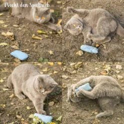 Mint Kitty Katten Speelgoed Set Van Kattenkussen Met Kattenkruid 9 Mint Kitty Katten Speelgoed Set Van Kattenkussen Met Kattenkruid -Winkel Voor Kattenbenodigdheden 1200x1200 1136