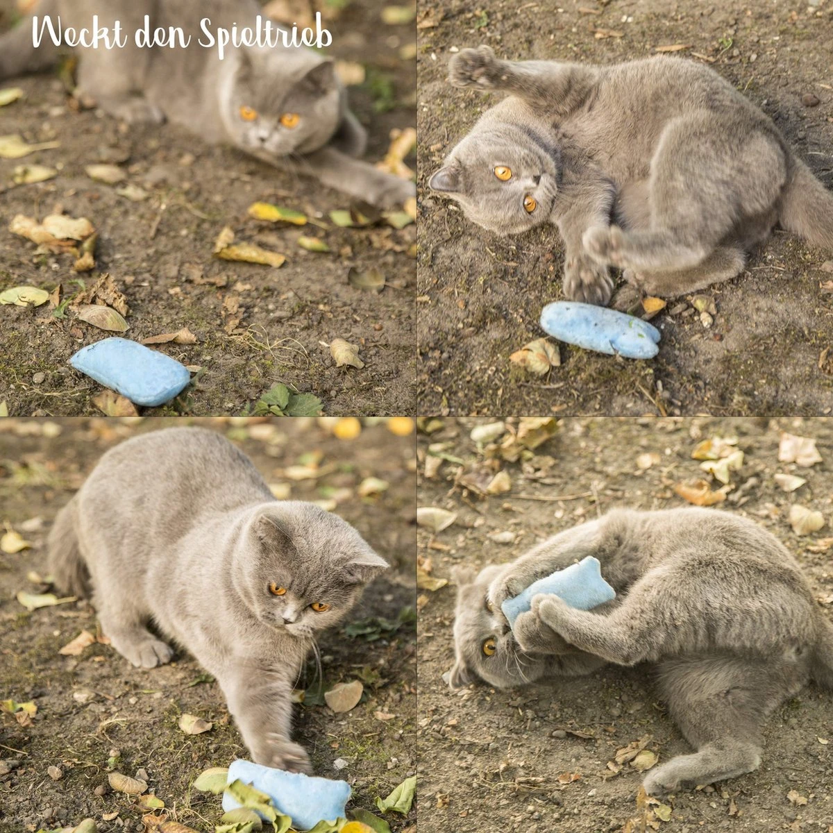 Mint Kitty Katten Speelgoed Set Van Kattenkussen Met Kattenkruid 6 Mint Kitty Katten Speelgoed Set Van Kattenkussen Met Kattenkruid - Afbeelding 4