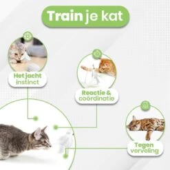 Petgeek Running Smart - Kattenspeeltjes Intelligentie - Kattenspeelgoed - Automatische Bewegingen - Kattenspeeltjes -Winkel Voor Kattenbenodigdheden 1200x1200 1148