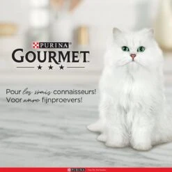 Purina One Purina Gourmet Perle - Mini Filets In Saus - Kalkoen Eend Tonijn & Lam - 40x85g -Winkel Voor Kattenbenodigdheden 1200x1200 115