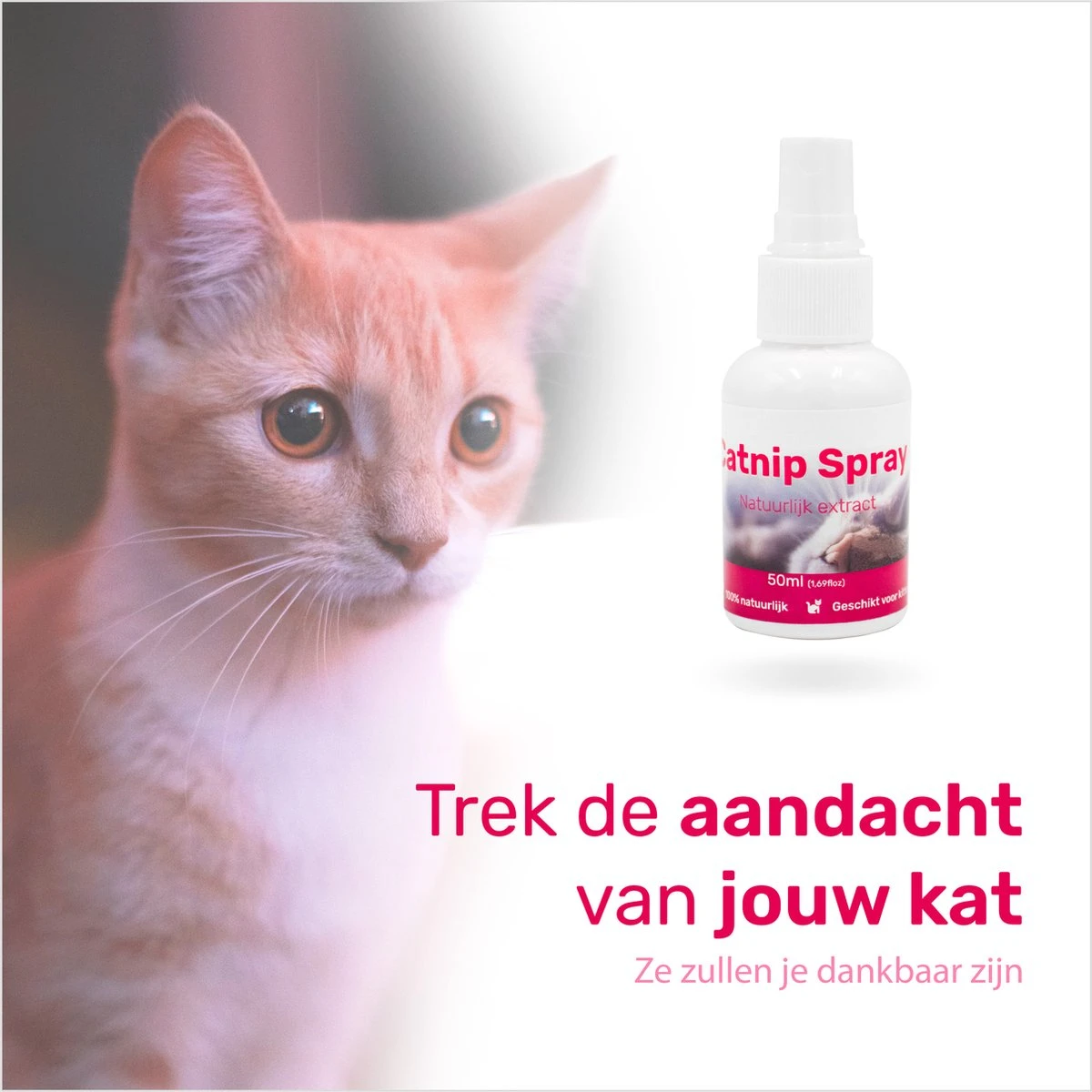 LBB - Catnip Spray 50ML - 100% Natuurlijk - CE Gekeurd - Kattenkruid Spray - Catnip Speelgoed - Valeriaan - Kat - Katten 5 LBB - Catnip Spray 50ML - 100% Natuurlijk - CE Gekeurd - Kattenkruid Spray - Catnip Speelgoed - Valeriaan - Kat - Katten - Afbeelding 3
