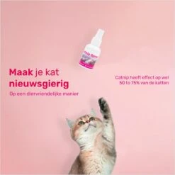 LBB - Catnip Spray 50ML - 100% Natuurlijk - CE Gekeurd - Kattenkruid Spray - Catnip Speelgoed - Valeriaan - Kat - Katten 11 LBB - Catnip Spray 50ML - 100% Natuurlijk - CE Gekeurd - Kattenkruid Spray - Catnip Speelgoed - Valeriaan - Kat - Katten -Winkel Voor Kattenbenodigdheden 1200x1200 1175