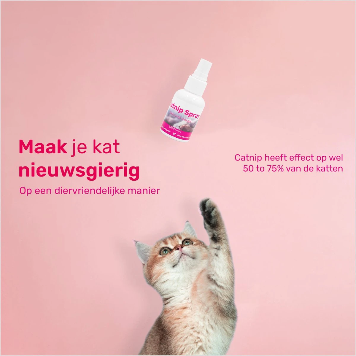 LBB - Catnip Spray 50ML - 100% Natuurlijk - CE Gekeurd - Kattenkruid Spray - Catnip Speelgoed - Valeriaan - Kat - Katten 7 LBB - Catnip Spray 50ML - 100% Natuurlijk - CE Gekeurd - Kattenkruid Spray - Catnip Speelgoed - Valeriaan - Kat - Katten - Afbeelding 5