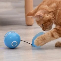 Otiume Elektrische Speelbal - Slimme Interactieve Zelfrollende Bal - Speelgoed Voor Katten - Kattenspeelgoed - Blauw 14 Otiume Elektrische Speelbal - Slimme Interactieve Zelfrollende Bal - Speelgoed Voor Katten - Kattenspeelgoed - Blauw -Winkel Voor Kattenbenodigdheden 1200x1200 1177