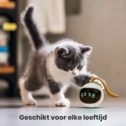Otiume Slimme Katten Speeltje - Interactieve Zelf Rollende Bal Voor Katten - Kattenspeeltjes -Speelgoed Voor Dieren - USB Oplaadbaar -Winkel Voor Kattenbenodigdheden 1200x1200 1178
