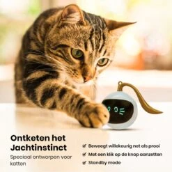 Otiume Slimme Katten Speeltje - Interactieve Zelf Rollende Bal Voor Katten - Kattenspeeltjes -Speelgoed Voor Dieren - USB Oplaadbaar -Winkel Voor Kattenbenodigdheden 1200x1200 1179