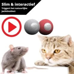 Cheerble Mini Ball 2.0 - Slimme Interactieve Zelf Rollende Bal Voor Katten - 3 Speelmodi - Kattenspeeltjes - USB Oplaadbaar - Rood -Winkel Voor Kattenbenodigdheden 1200x1200 1184