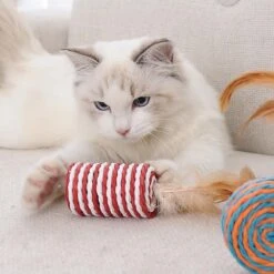 GIZMO Luxe Kattenspeeltjes Set - 7 Speeltjes - Interactieve Kattenhengel, Kattenspeelgoed & Speelmuisjes - Kitten Speeltjes 16 GIZMO Luxe Kattenspeeltjes Set - 7 Speeltjes - Interactieve Kattenhengel, Kattenspeelgoed & Speelmuisjes - Kitten Speeltjes -Winkel Voor Kattenbenodigdheden 1200x1200 1191