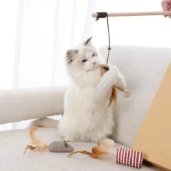 GIZMO Luxe Kattenspeeltjes Set - 7 Speeltjes - Interactieve Kattenhengel, Kattenspeelgoed & Speelmuisjes - Kitten Speeltjes 21 GIZMO Luxe Kattenspeeltjes Set - 7 Speeltjes - Interactieve Kattenhengel, Kattenspeelgoed & Speelmuisjes - Kitten Speeltjes -Winkel Voor Kattenbenodigdheden 1200x1200 1193