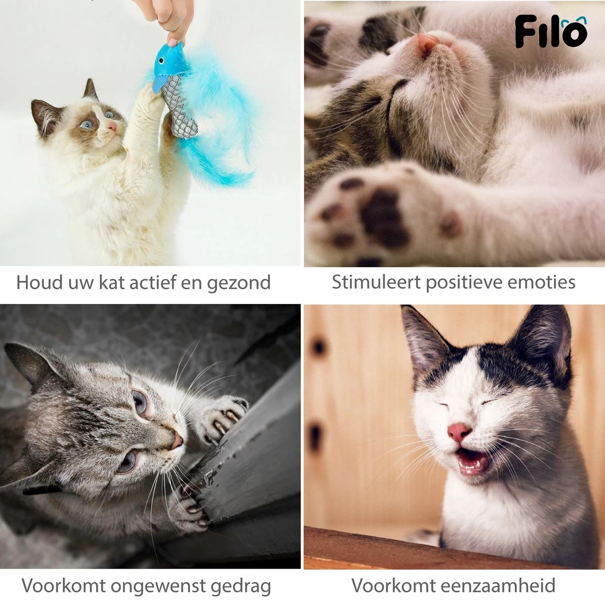 Filo Kattenhengel Set + 12 Kattenspeeltjes – Speelhengels Interactief Kattenspeelgoed – Hengel Kattenspeeltje Kittens - Speelgoed Speelhengel Vis Kat En Kitten 8 Filo Kattenhengel Set + 12 Kattenspeeltjes – Speelhengels Interactief Kattenspeelgoed – Hengel Kattenspeeltje Kittens - Speelgoed Speelhengel Vis Kat En Kitten - Afbeelding 6