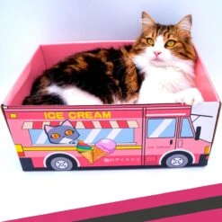 Make Me Purr Kattendoos Van Karton (Ice Cream) - Inclusief Kartonnen Krabmat - Speelgoed Doos Voor Katten Met Krab Mat - Kat Krabpaal Speeltje - Kattenbed Kattenmand Kattenhuis Kattentunnel - Kattenspeelgoed - Kattenspeeltjes - Kitten Speeltjes -Winkel Voor Kattenbenodigdheden 1200x1200 1213