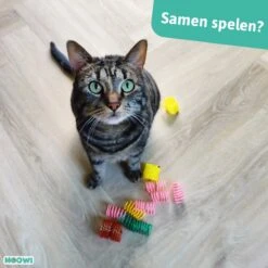 Moowi - Springveren 30 Stuks - Kat - Kattenveertjes - Kattenspeelgoed -Winkel Voor Kattenbenodigdheden 1200x1200 1222