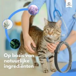 Essential Link Teken- En Vlooienband - Vlooienband Kat – Anti Vlooien – Vlooienmiddel - Tekenband - Diervriendelijk -Winkel Voor Kattenbenodigdheden 1200x1200 13