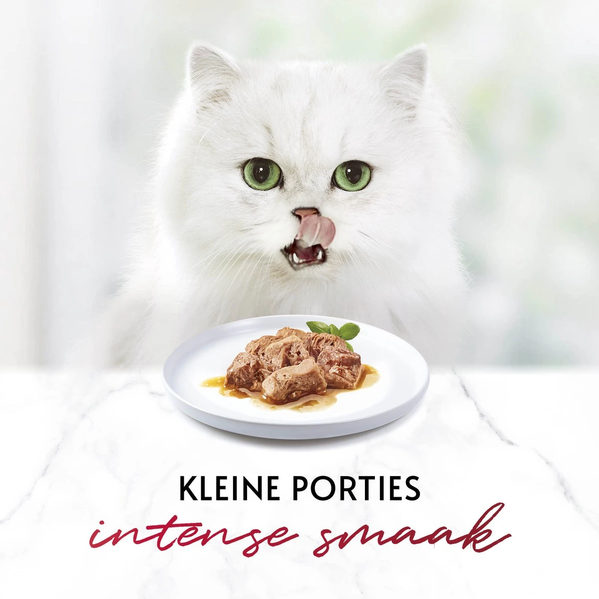 Gourmet Mon Petit Intense - Kattenvoer Natvoer - Gevogelte - 24 X 50 Gr 10 Gourmet Mon Petit Intense - Kattenvoer Natvoer - Gevogelte - 24 X 50 Gr - Afbeelding 8