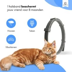 Essential Link Teken- En Vlooienband - Vlooienband Kat – Anti Vlooien – Vlooienmiddel - Tekenband - Diervriendelijk -Winkel Voor Kattenbenodigdheden 1200x1200 14