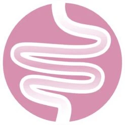 Purina ONE Junior - Kip/Granen - Kattenvoer - 800 G -Winkel Voor Kattenbenodigdheden 1200x1200 164