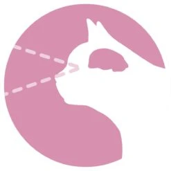 Purina ONE Junior - Kip/Granen - Kattenvoer - 800 G -Winkel Voor Kattenbenodigdheden 1200x1200 165