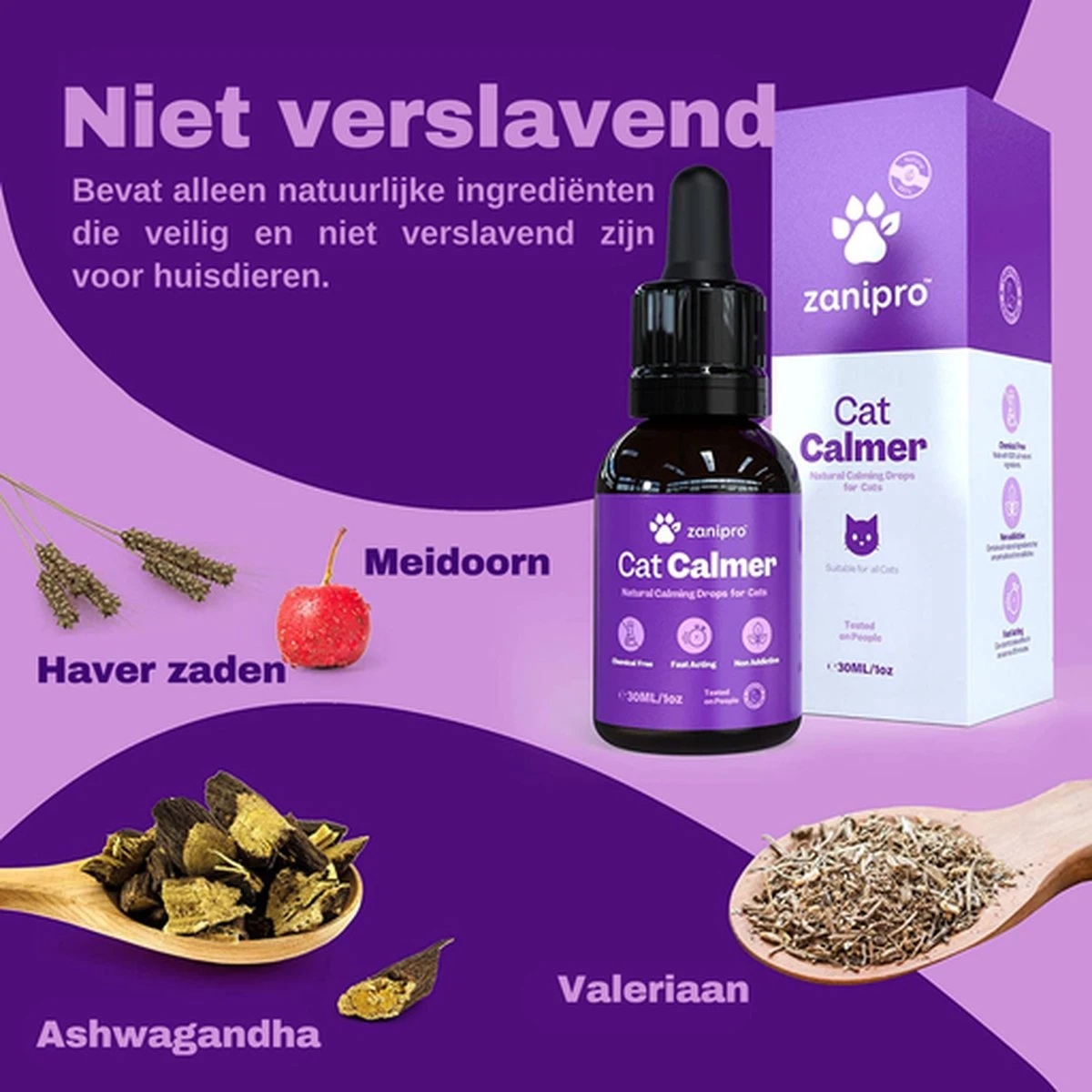 Aerend - Kalmerende Druppels Voor Katten - Anti-stress - Zanipro® 30ml - 100% Natuurlijk Uit Het Verenigd Koninkrijk - Met Ashwagandha & Valeriaan - No Stress Druppels Om Gedragsproblemen Te Verlichten - Voor Thuis En Onderweg 5 Aerend - Kalmerende Druppels Voor Katten - Anti-stress - Zanipro® 30ml - 100% Natuurlijk Uit Het Verenigd Koninkrijk - Met Ashwagandha & Valeriaan - No Stress Druppels Om Gedragsproblemen Te Verlichten - Voor Thuis En Onderweg - Afbeelding 3