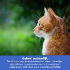 Sensipharm Urologist Aid Voor Kat, Hondje, Cavia, Konijn - Bij Blaasontsteking, Blaasgruis, Struviet, Oxalaat & Nierstenen - 90 Tabletten à 250 Mg -Winkel Voor Kattenbenodigdheden 1200x1200 21