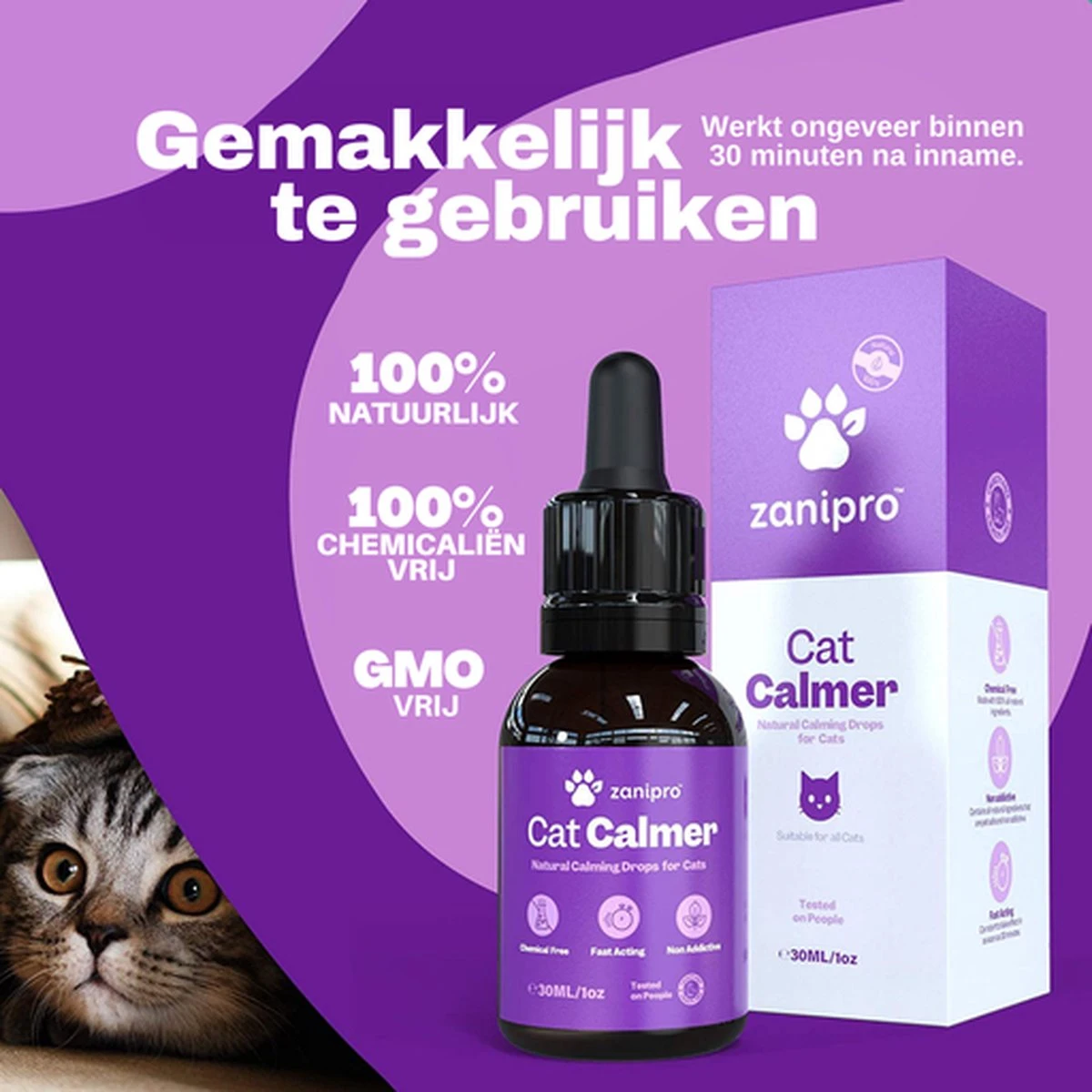 Aerend - Kalmerende Druppels Voor Katten - Anti-stress - Zanipro® 30ml - 100% Natuurlijk Uit Het Verenigd Koninkrijk - Met Ashwagandha & Valeriaan - No Stress Druppels Om Gedragsproblemen Te Verlichten - Voor Thuis En Onderweg 10 Aerend - Kalmerende Druppels Voor Katten - Anti-stress - Zanipro® 30ml - 100% Natuurlijk Uit Het Verenigd Koninkrijk - Met Ashwagandha & Valeriaan - No Stress Druppels Om Gedragsproblemen Te Verlichten - Voor Thuis En Onderweg - Afbeelding 8