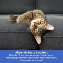 Sensipharm Urologist Aid Voor Kat, Hondje, Cavia, Konijn - Bij Blaasontsteking, Blaasgruis, Struviet, Oxalaat & Nierstenen - 90 Tabletten à 250 Mg -Winkel Voor Kattenbenodigdheden 1200x1200 22