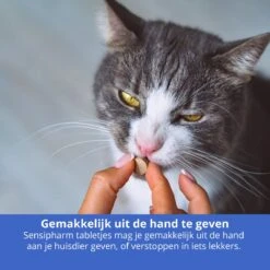 Sensipharm Urologist Aid Voor Kat, Hondje, Cavia, Konijn - Bij Blaasontsteking, Blaasgruis, Struviet, Oxalaat & Nierstenen - 90 Tabletten à 250 Mg -Winkel Voor Kattenbenodigdheden 1200x1200 23