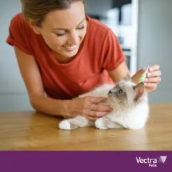 VECTRA Felis - Vlooiendruppels - Voor Katten 0.6 T/m 10 Kg - 3 Pipetten 9 VECTRA Felis - Vlooiendruppels - Voor Katten 0.6 T/m 10 Kg - 3 Pipetten -Winkel Voor Kattenbenodigdheden 1200x1200 26