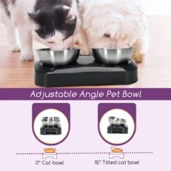 Nobleza Katten Voerbakjes - Ergonomische Dubbele Voerbak - Anti Braak Voerbak Voor Katten - Zwart - Dubbel - RVS 17 Nobleza Katten Voerbakjes - Ergonomische Dubbele Voerbak - Anti Braak Voerbak Voor Katten - Zwart - Dubbel - RVS -Winkel Voor Kattenbenodigdheden 1200x1200 266