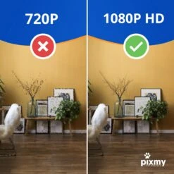 PIXMY - Automatische Voerbak Kat - 4L - Wi-Fi - Met App En Full HD Camera - Voerbak Kat -Winkel Voor Kattenbenodigdheden 1200x1200 274