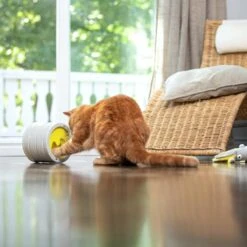 BeOneBreed Intellikatt - Slowfeeder Voor Katten - Voerpuzzel Aanbevolen Door Dierenartsen En Kattengedragsdeskundigen 14 BeOneBreed Intellikatt - Slowfeeder Voor Katten - Voerpuzzel Aanbevolen Door Dierenartsen En Kattengedragsdeskundigen -Winkel Voor Kattenbenodigdheden 1200x1200 286