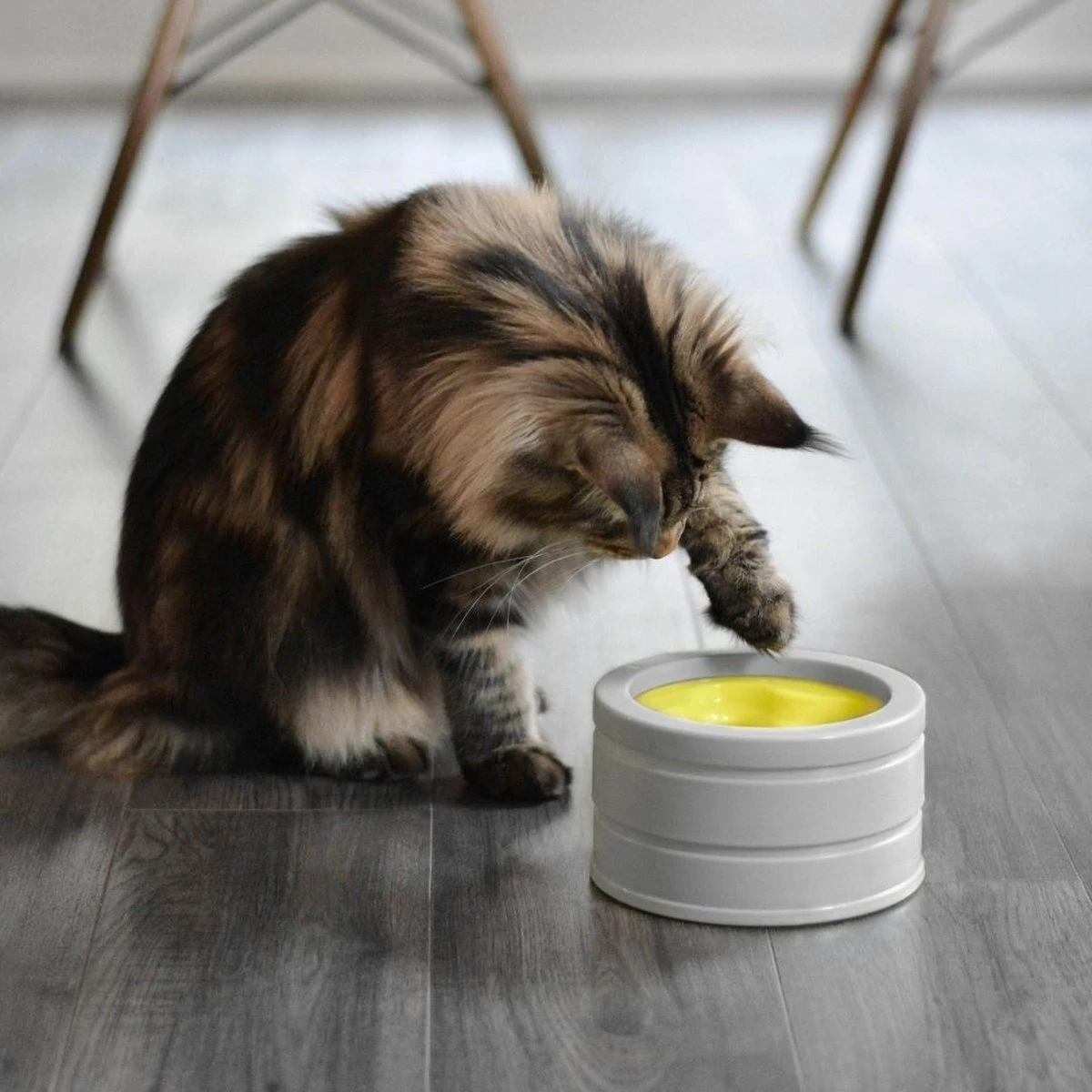 BeOneBreed Intellikatt - Slowfeeder Voor Katten - Voerpuzzel Aanbevolen Door Dierenartsen En Kattengedragsdeskundigen 7 BeOneBreed Intellikatt - Slowfeeder Voor Katten - Voerpuzzel Aanbevolen Door Dierenartsen En Kattengedragsdeskundigen - Afbeelding 5