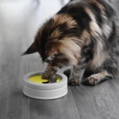 BeOneBreed Intellikatt - Slowfeeder Voor Katten - Voerpuzzel Aanbevolen Door Dierenartsen En Kattengedragsdeskundigen 16 BeOneBreed Intellikatt - Slowfeeder Voor Katten - Voerpuzzel Aanbevolen Door Dierenartsen En Kattengedragsdeskundigen -Winkel Voor Kattenbenodigdheden 1200x1200 288