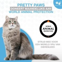 Pretty Paws PP002 Professionele Automatische Voerbak Kat- Stemrecorder - Voerautomaat - Katten Voerbak - Minimalistisch 27 Pretty Paws PP002 Professionele Automatische Voerbak Kat- Stemrecorder - Voerautomaat - Katten Voerbak - Minimalistisch -Winkel Voor Kattenbenodigdheden 1200x1200 294