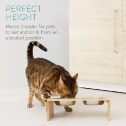Navaris Verhoogd Dubbel Dieren Voedingsstation - 2 Kommen Voor Katten En Kleine Honden - Roestvrij Staal - Verhoogde Bamboe Standaard -Winkel Voor Kattenbenodigdheden 1200x1200 303