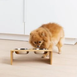 Navaris Verhoogd Dubbel Dieren Voedingsstation - 2 Kommen Voor Katten En Kleine Honden - Roestvrij Staal - Verhoogde Bamboe Standaard -Winkel Voor Kattenbenodigdheden 1200x1200 305